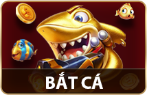 Bắt Cá
